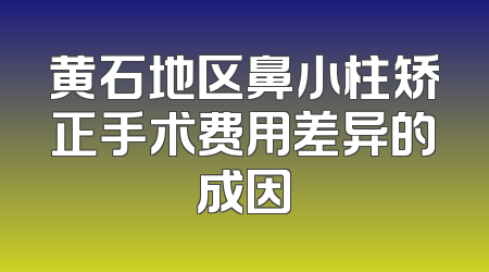 黄石地区鼻小柱矫正手术费用差异的成因