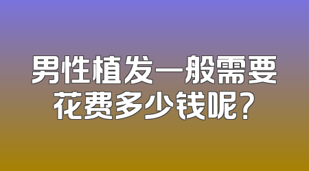 男性植发一般需要花费多少钱呢？