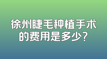 徐州睫毛种植手术的费用是多少？