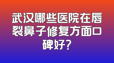 武汉哪些医院在唇裂鼻子修复方面口碑好？