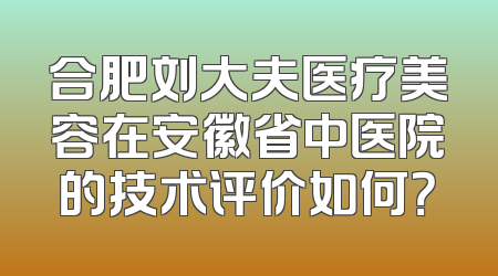 合肥刘大夫医疗美容在安徽省中医院的技术评价如何？