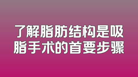 了解脂肪结构是吸脂手术的首要步骤