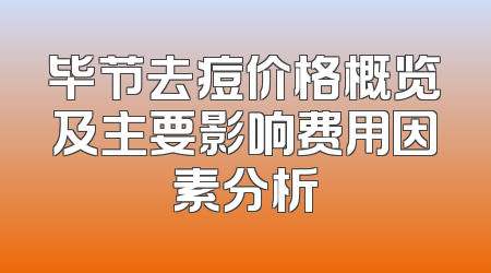 毕节去痘价格概览及主要影响费用因素分析