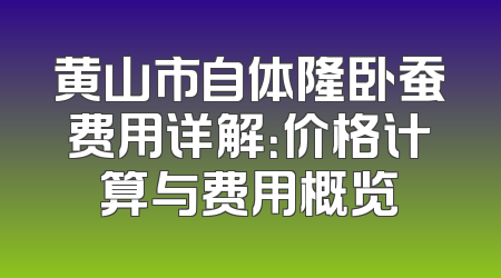 黄山市自体隆卧蚕费用详解：价格计算与费用概览