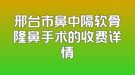 邢台市鼻中隔软骨隆鼻手术的收费详情