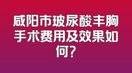 咸阳市玻尿酸丰胸手术费用及效果如何？