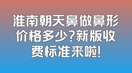 淮南朝天鼻做鼻形价格多少？新版收费标准来啦！