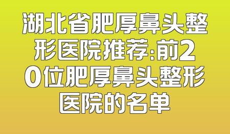湖北省肥厚鼻头整形医院推荐：前20位肥厚鼻头整形医院的名单