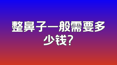 整鼻子一般需要多少钱？