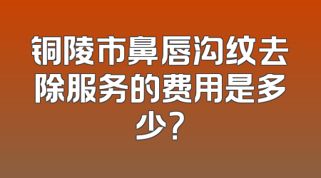 铜陵市鼻唇沟纹去除服务的费用是多少？
