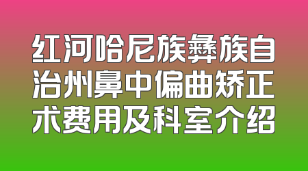 红河哈尼族彝族自治州鼻中偏曲矫正术费用及科室介绍