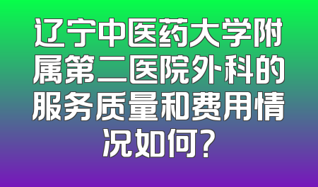 辽宁中医药大学附属第二医院外科的服务质量和费用情况如何？