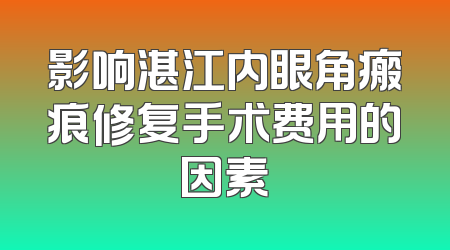 影响湛江内眼角瘢痕修复手术费用的因素