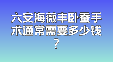 六安海薇丰卧蚕手术通常需要多少钱？