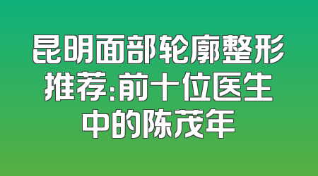 昆明面部轮廓整形推荐：前十位医生中的陈茂年