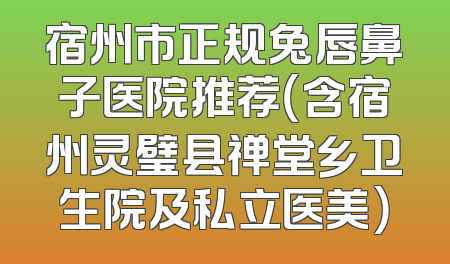 宿州市正规兔唇鼻子医院推荐（含宿州灵璧县禅堂乡卫生院及私立医美）
