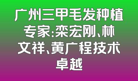 广州三甲毛发种植专家：栾宏刚、林文祥、黄广程技术卓越