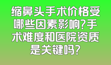 缩鼻头手术价格受哪些因素影响？手术难度和医院资质是关键吗？