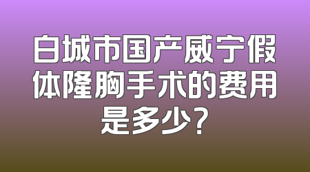 白城市国产威宁假体隆胸手术的费用是多少？