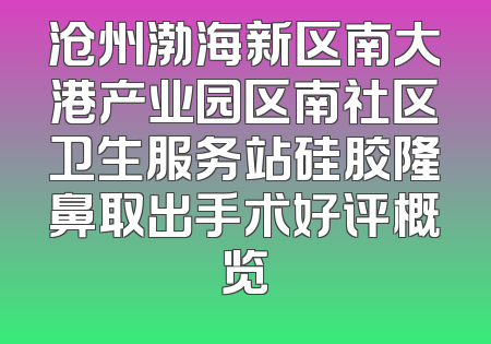 沧州渤海新区南大港产业园区南社区卫生服务站硅胶隆鼻取出手术好评概览