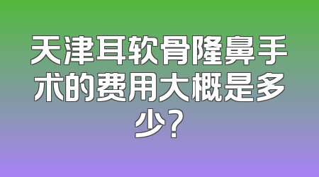 天津耳软骨隆鼻手术的费用大概是多少？