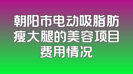 朝阳市电动吸脂肪瘦大腿的美容项目费用情况