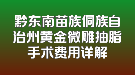 黔东南苗族侗族自治州黄金微雕抽脂手术费用详解