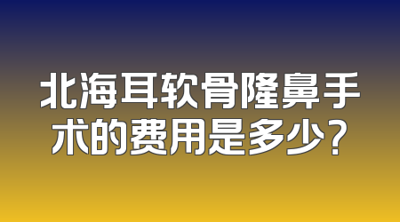 北海耳软骨隆鼻手术的费用是多少？