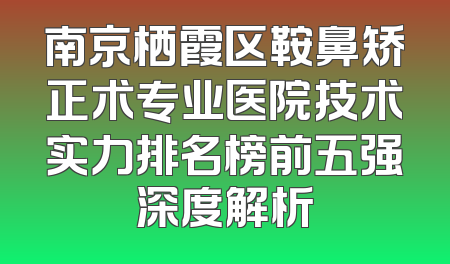 南京栖霞区鞍鼻矫正术专业医院技术实力排名榜前五强深度解析