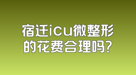 宿迁icu微整形的花费合理吗？