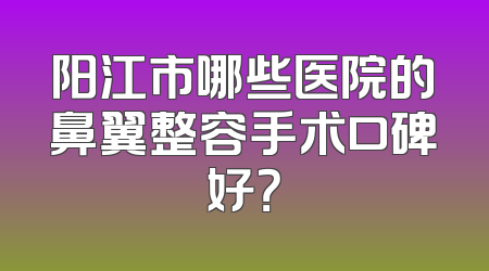 阳江市哪些医院的鼻翼整容手术口碑好？