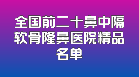全国前二十鼻中隔软骨隆鼻医院精品名单