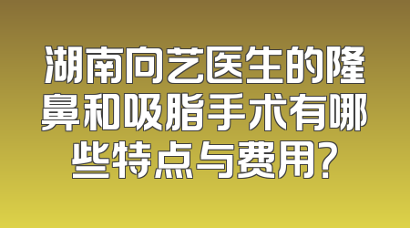 湖南向艺医生的隆鼻和吸脂手术有哪些特点与费用？