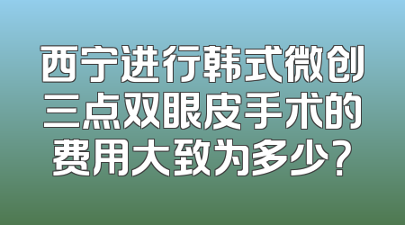 西宁进行韩式微创三点双眼皮手术的费用大致为多少？
