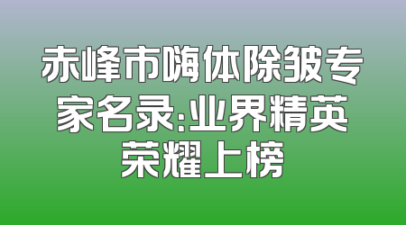 赤峰市嗨体除皱专家名录：业界精英荣耀上榜