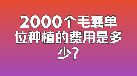 2000个毛囊单位种植的费用是多少？