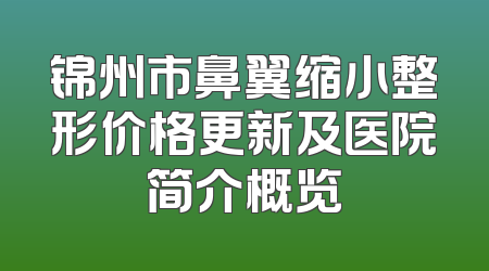 锦州市鼻翼缩小整形价格更新及医院简介概览