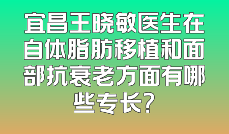 宜昌王晓敏医生在自体脂肪移植和面部抗衰老方面有哪些专长？