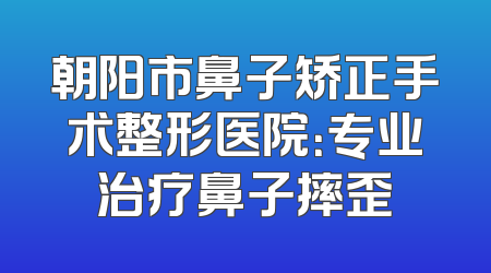 朝阳市鼻子矫正手术整形医院：专业治疗鼻子摔歪