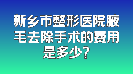 新乡市整形医院腋毛去除手术的费用是多少？
