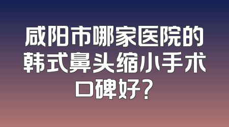 咸阳市哪家医院的韩式鼻头缩小手术口碑好？
