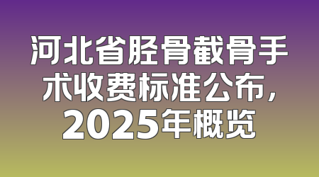 河北省胫骨截骨手术收费标准公布，2025年概览