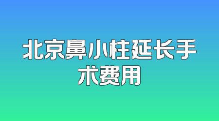 北京鼻小柱延长手术费用
