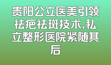 贵阳公立医美引领祛疤祛斑技术，私立整形医院紧随其后