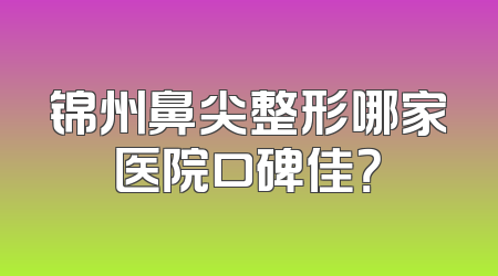 锦州鼻尖整形哪家医院口碑佳？