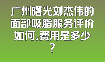 广州曙光刘杰伟的面部吸脂服务评价如何，费用是多少？