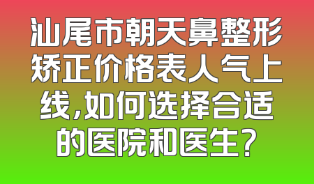 汕尾市朝天鼻整形矫正价格表人气上线，如何选择合适的医院和医生？