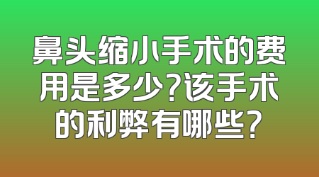 鼻头缩小手术的费用是多少？该手术的利弊有哪些？