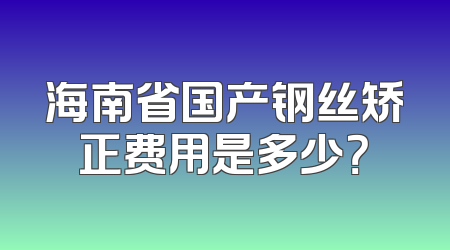 海南省国产钢丝矫正费用是多少？