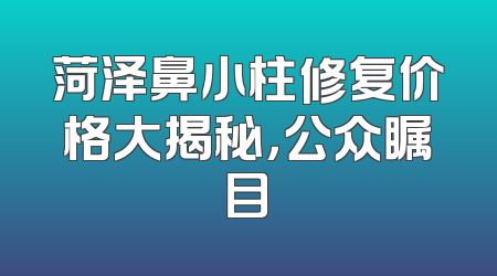 菏泽鼻小柱修复价格大揭秘，公众瞩目